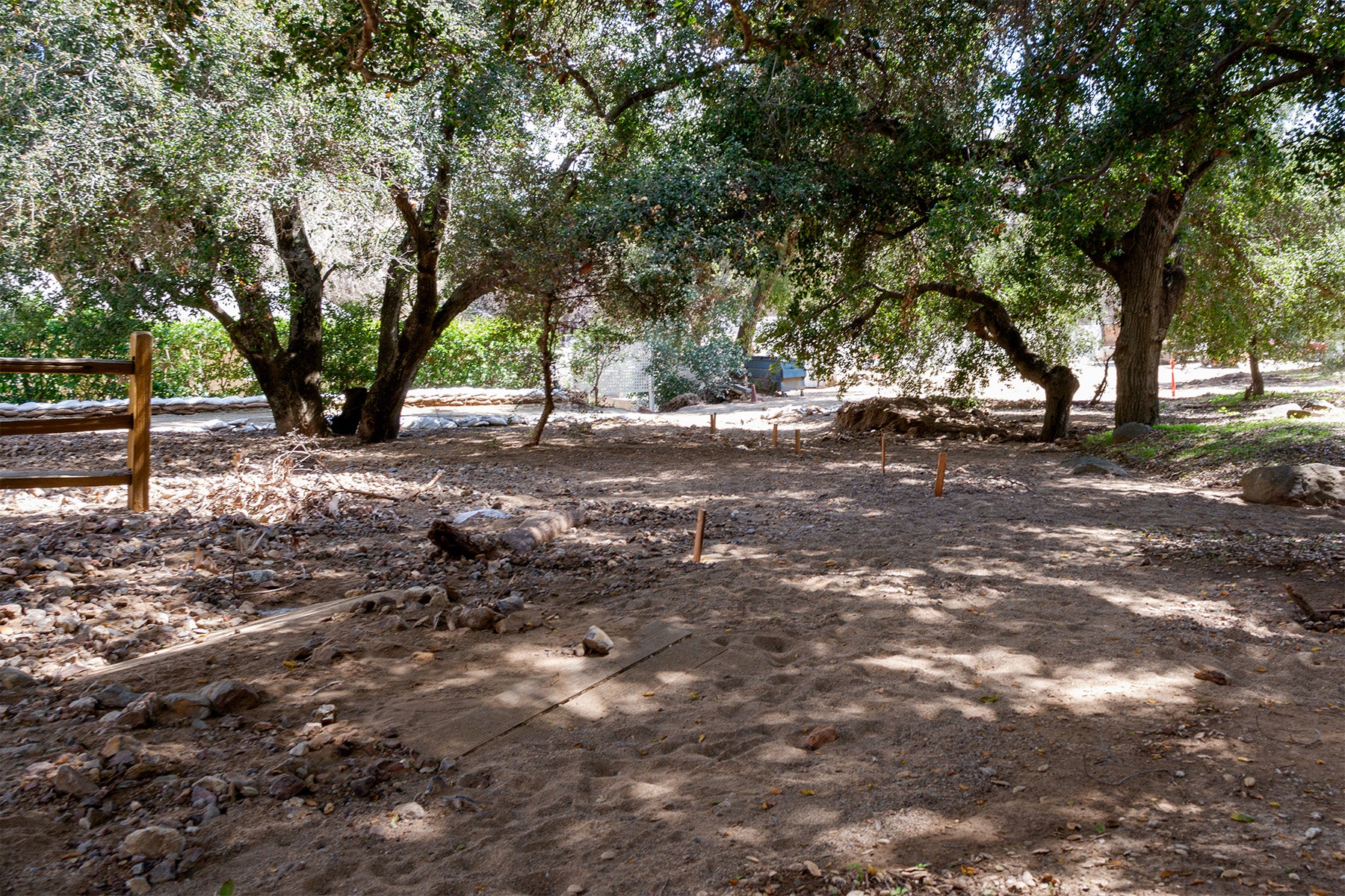 Open area with trees and a wooden fence in the background