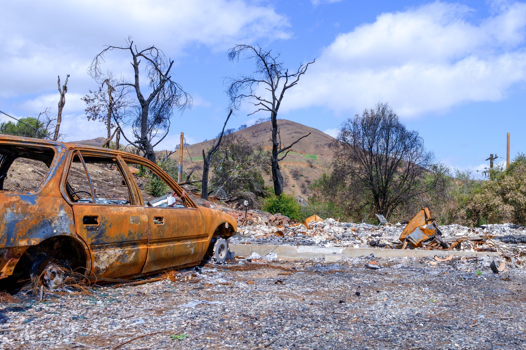 Burned-out car and debris in a desolate landscape with burnt trees and mountains in the background