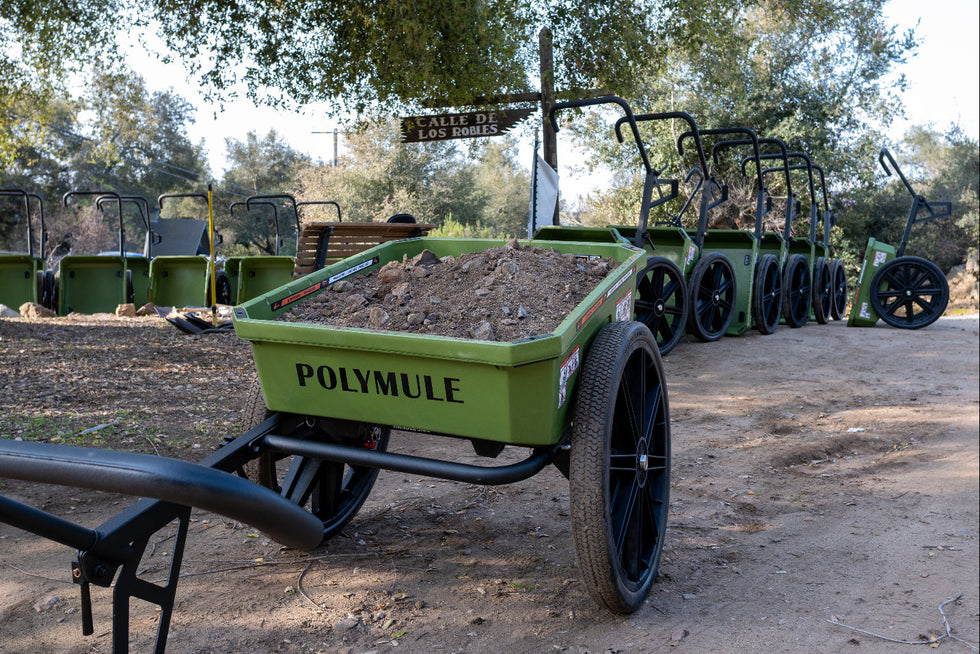 Polymule