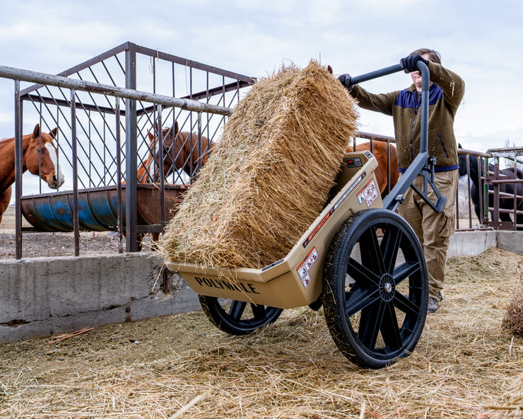 Polymule